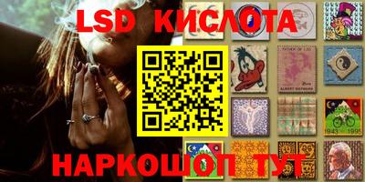 PSILOCYBIN Можга