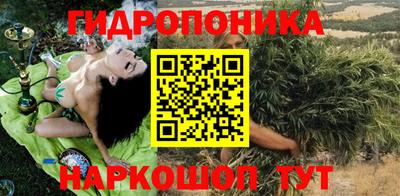 PSILOCYBIN Можга