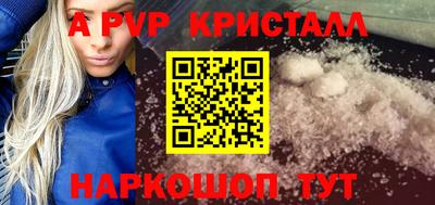 PSILOCYBIN Можга
