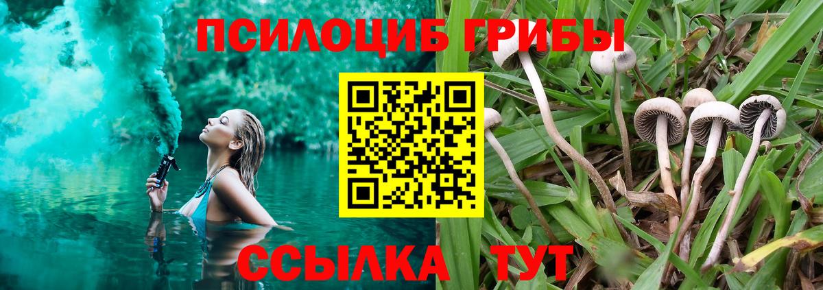 Галлюциногенные грибы MAGIC MUSHROOMS Искитим