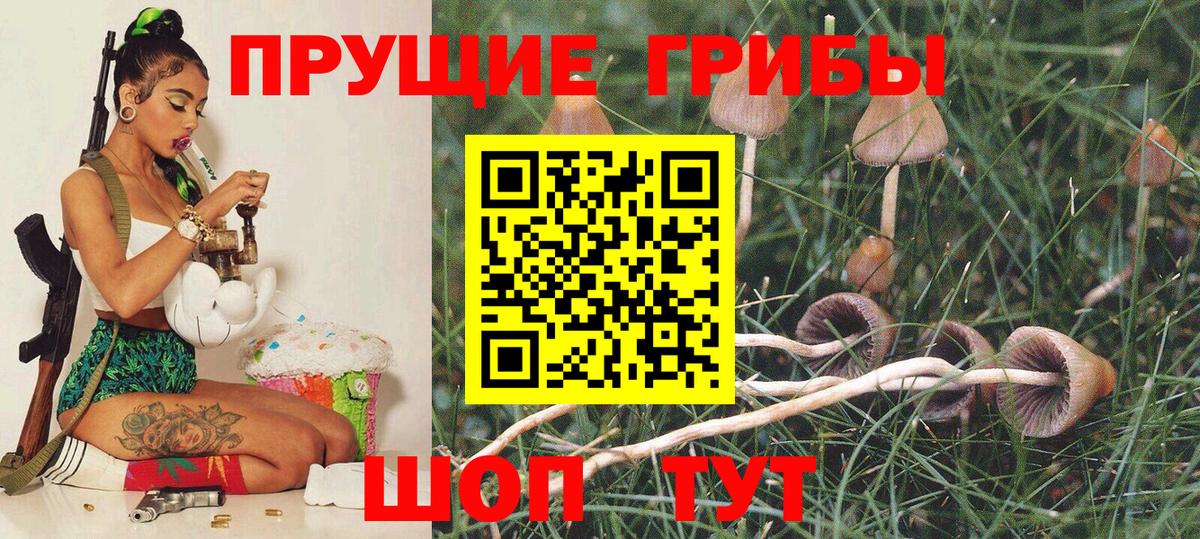 Псилоцибиновые грибы мицелий  Вход с VPN  Искитим 